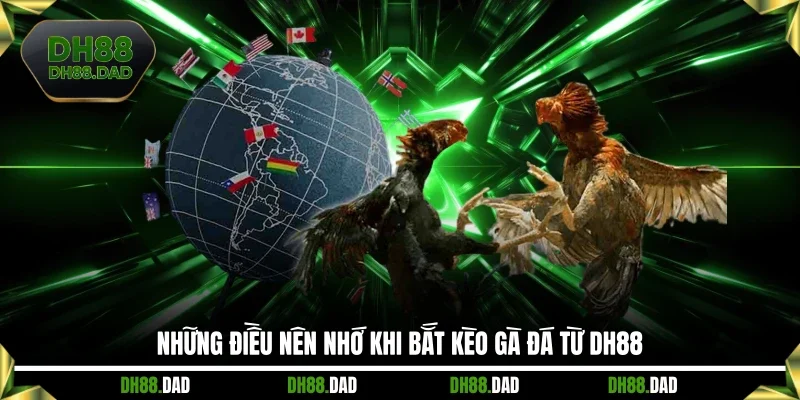 Những điều nên nhớ khi bắt kèo gà đá từ DH88